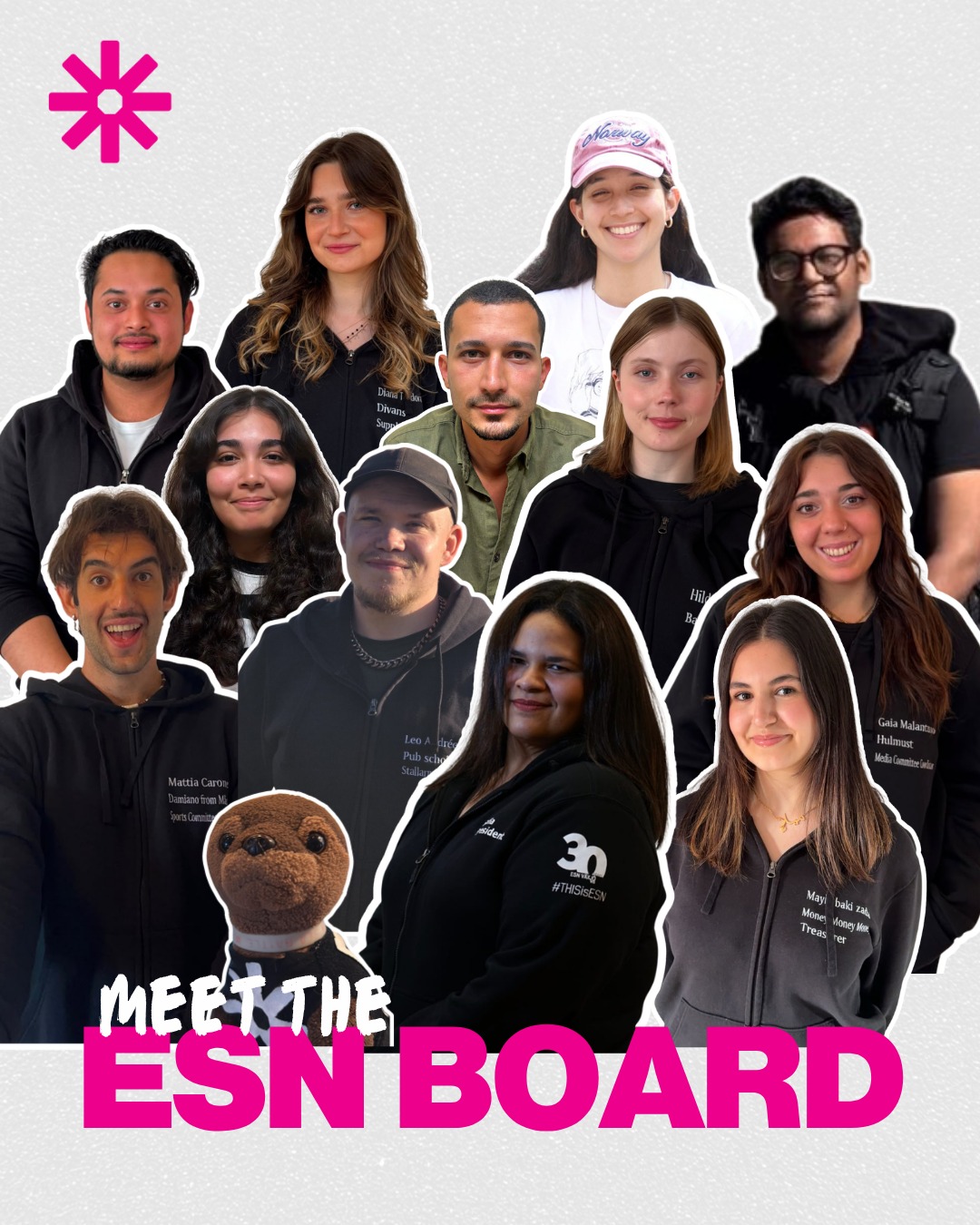 ESN Vaxjo Board